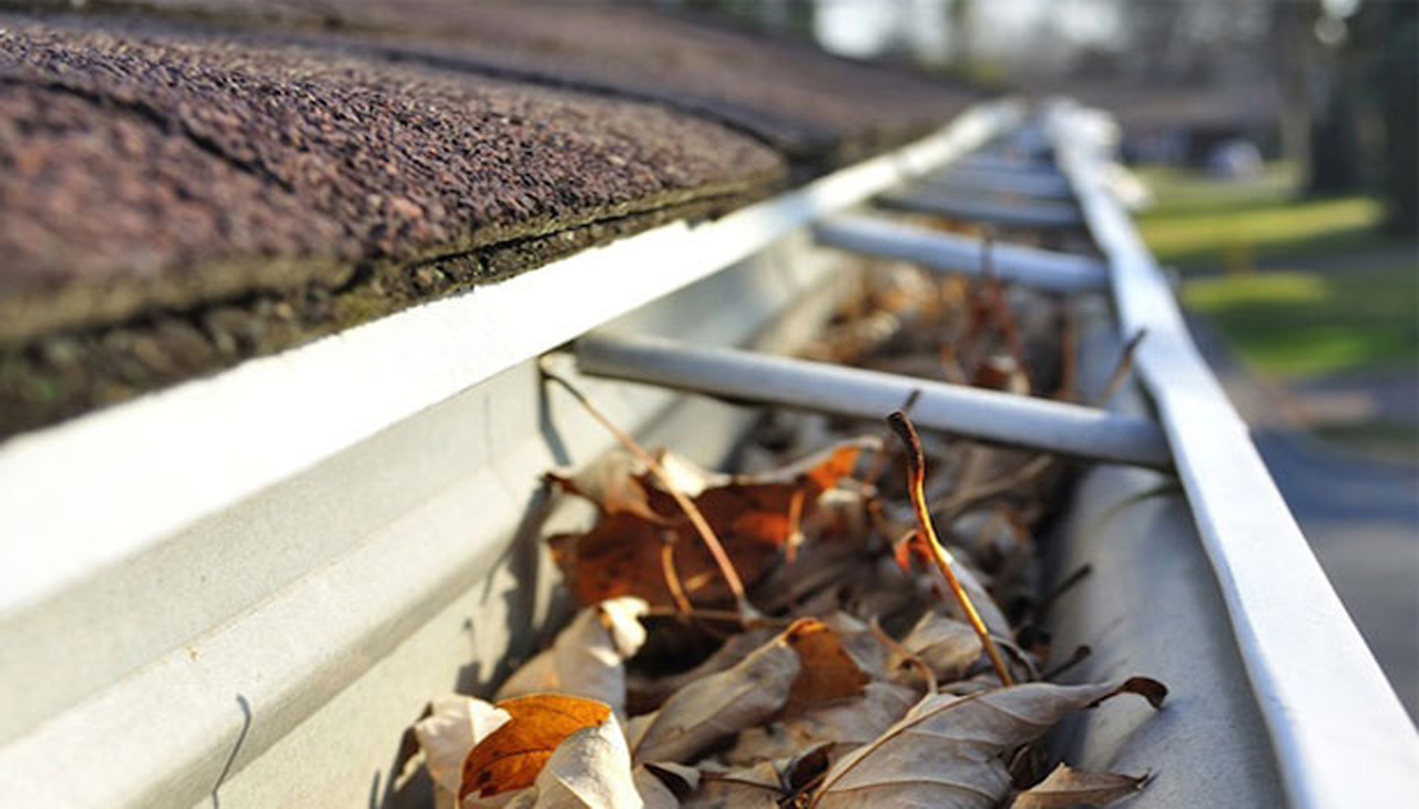 Gutter Cleaning Services NZ